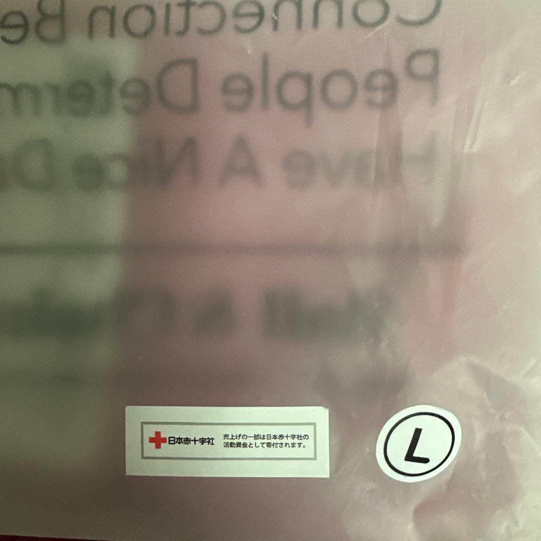 Ball & Chain ANA Hawaiiコラボ Lサイズ