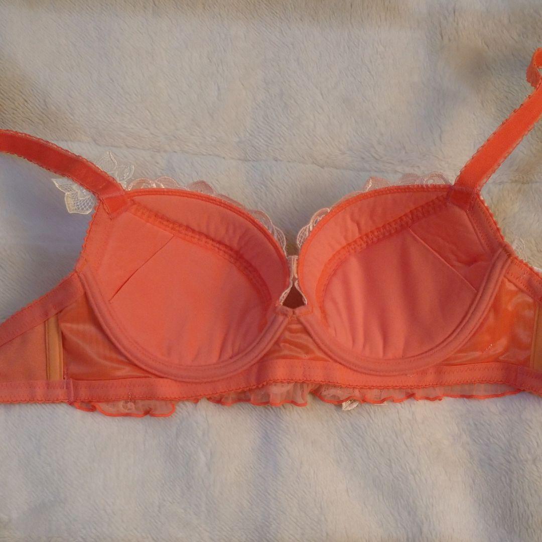 専用！　サルート ブラ アルテミス D70