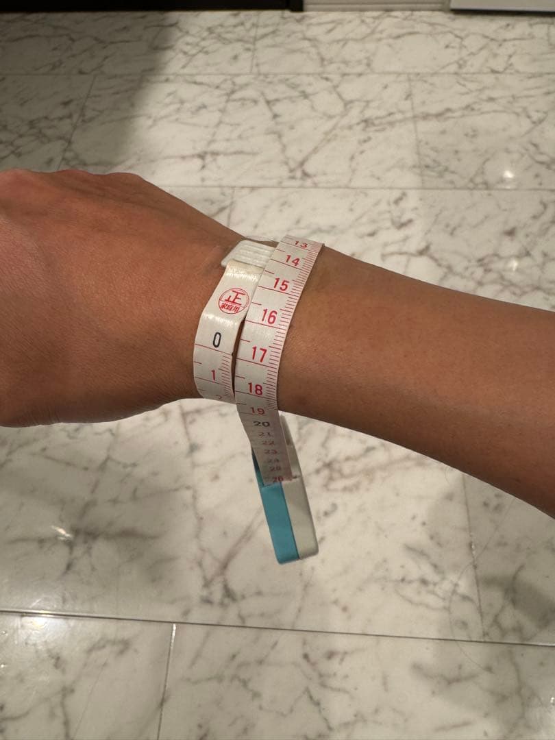 エルメス　シェーヌダンクルGM13コマ