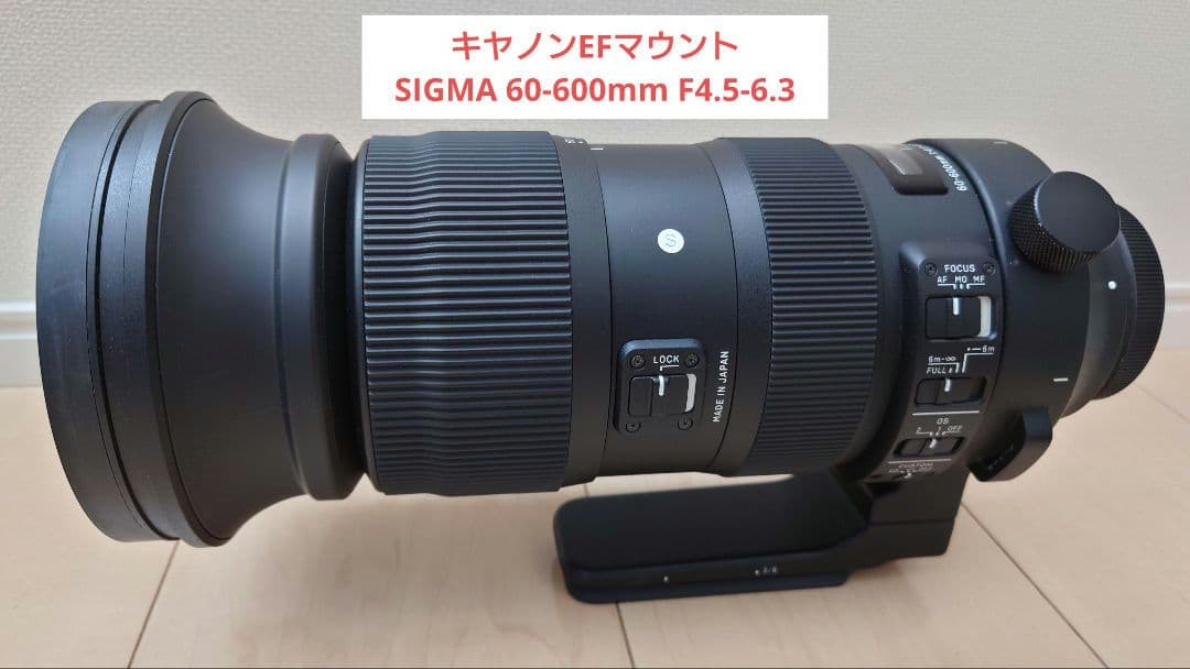 【作例あり】SIGMA 60-600mm F4.5-6.3 DG OS HSM