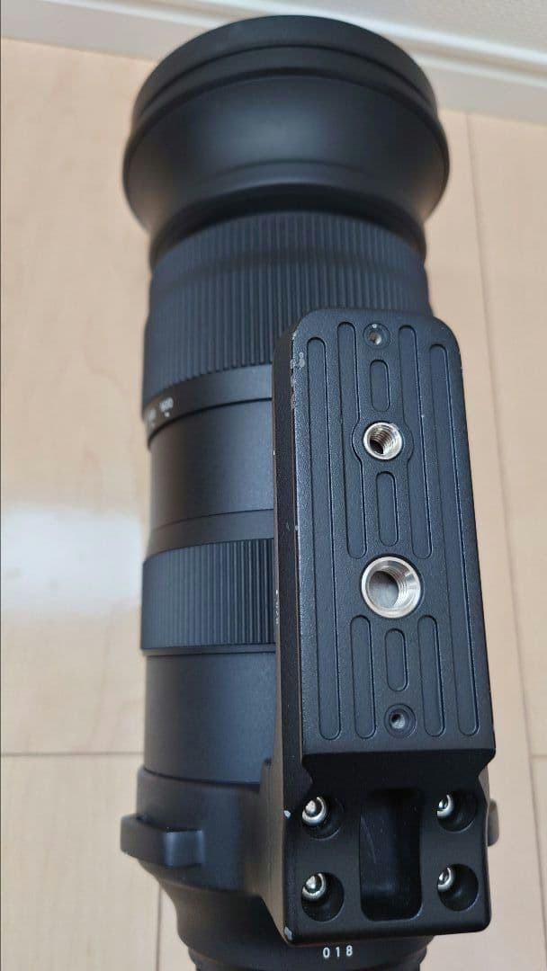 【作例あり】SIGMA 60-600mm F4.5-6.3 DG OS HSM