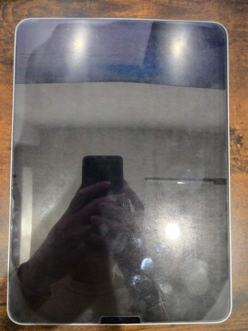 iPad Pro 11インチ 第1世代 256GB シルバー