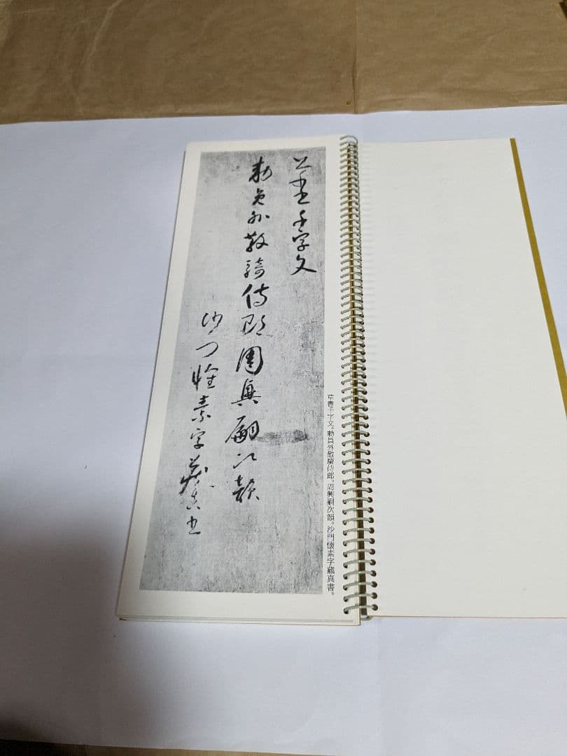 拡大法書選集５種類合計12冊