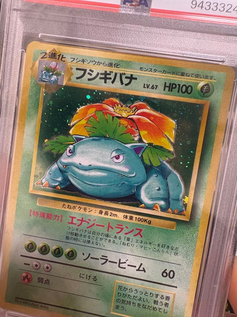 PSA8 フシギバナ　旧裏