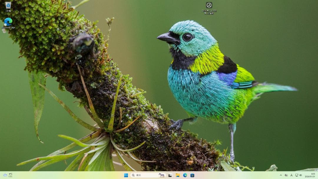 Windowsデスクトップ HP Prodesk 600 G4 SFF/8GB/256GB