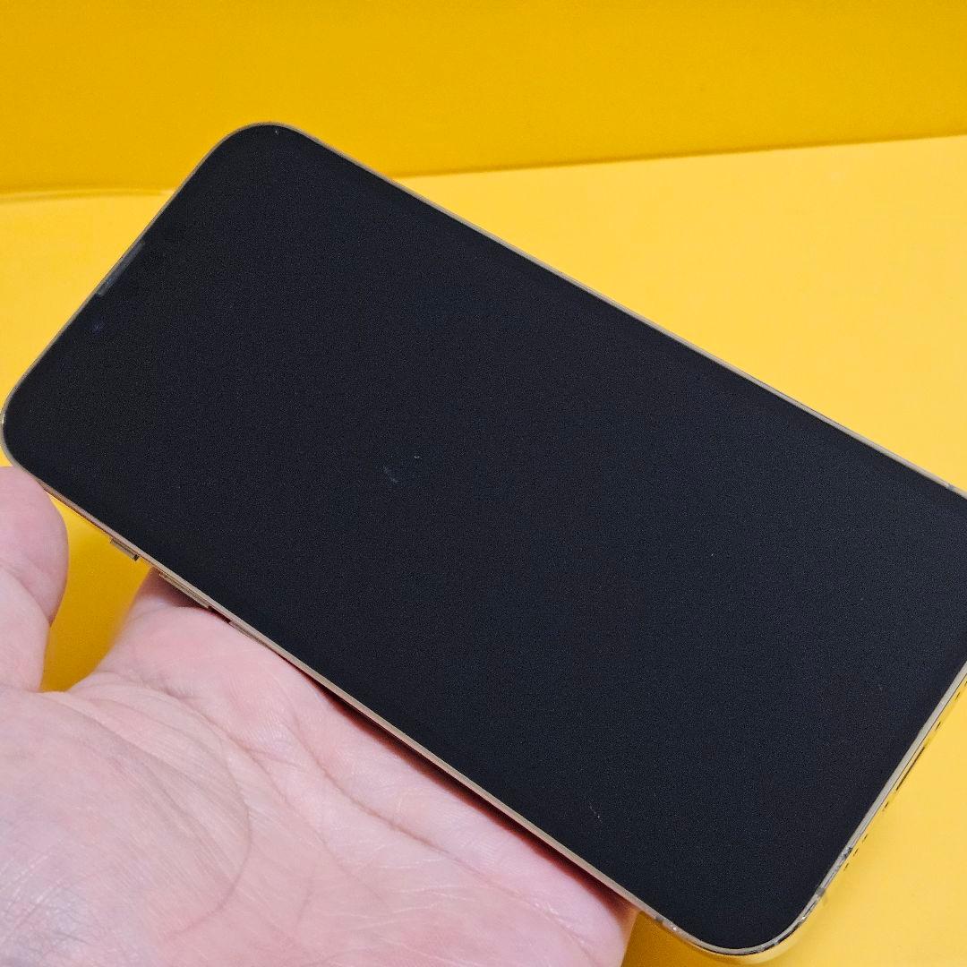 顔面片栗粉様46.8　iPhone 13 Pro 128GB #098