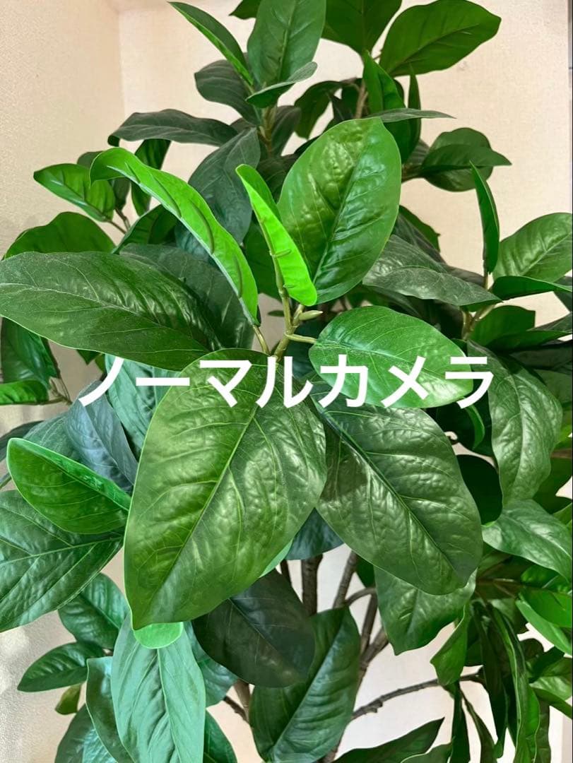 『新品バッテリー』iPhone 13 mini 128GB グリーン　本体