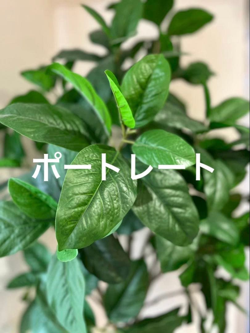 『新品バッテリー』iPhone 13 mini 128GB グリーン　本体