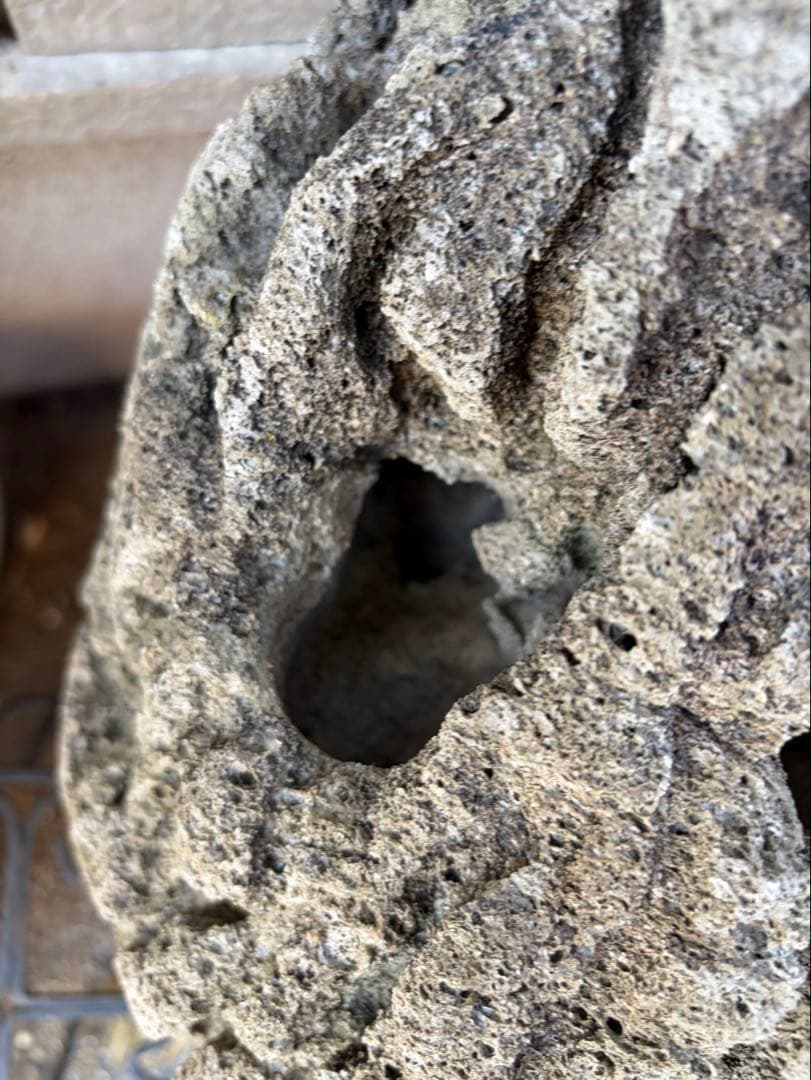 Kevin　雲山石 溶岩石鉢　レイアウト穴7個　水抜き穴あり