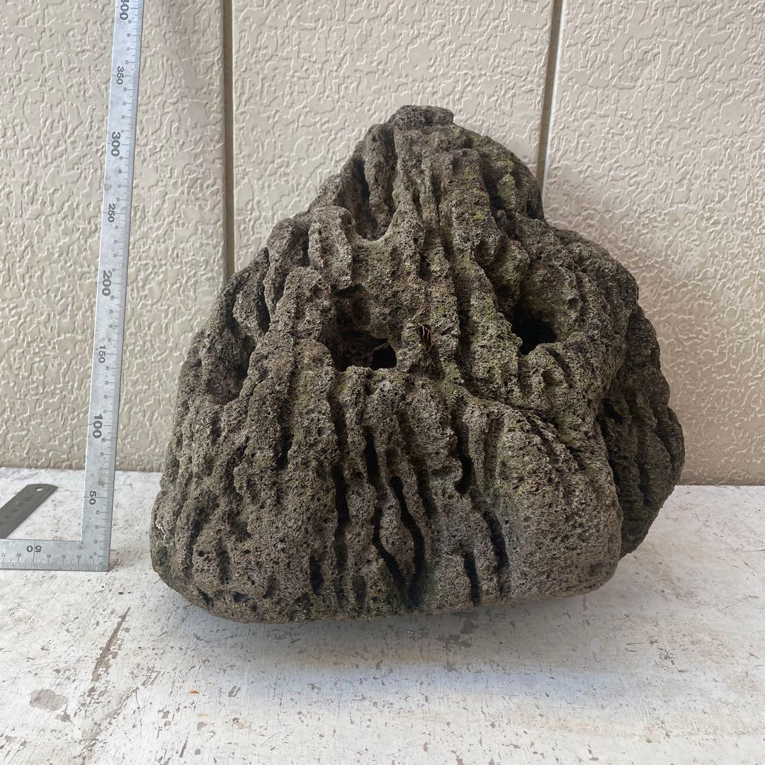 Kevin　雲山石 溶岩石鉢　レイアウト穴7個　水抜き穴あり