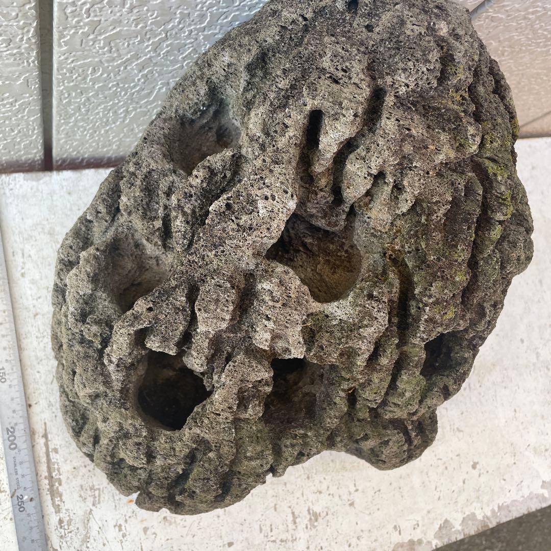 Kevin　雲山石 溶岩石鉢　レイアウト穴7個　水抜き穴あり