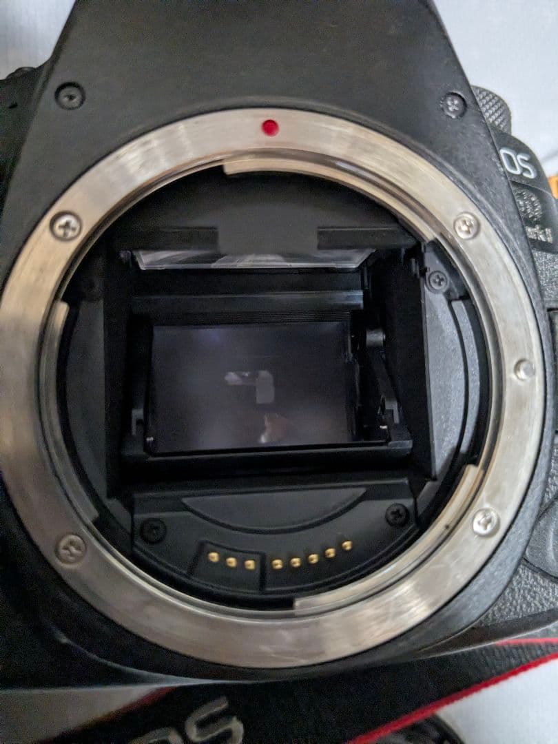 EOS 6D Mark II ＋おまけ