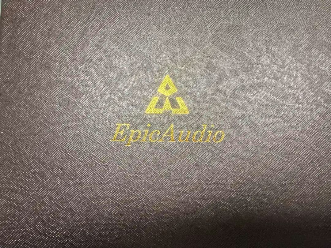 Epic Audio Schizophrenia イヤホン