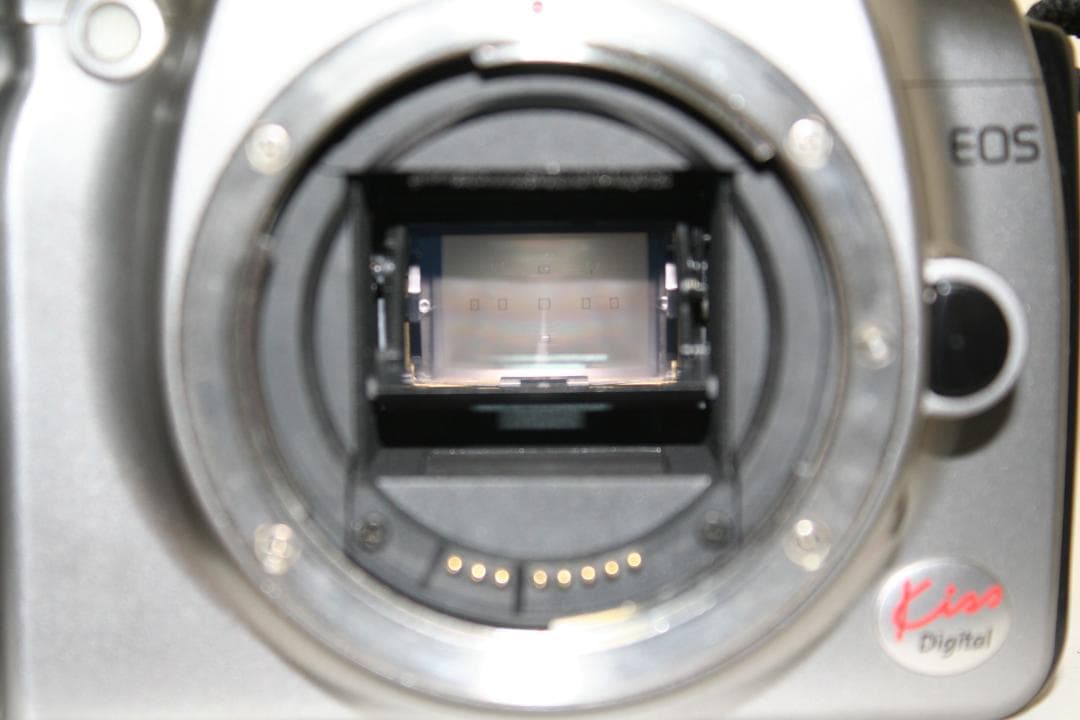 【動作確認済】キヤノン EOS Kiss デジタル+シグマ18-55㎜ （D6）