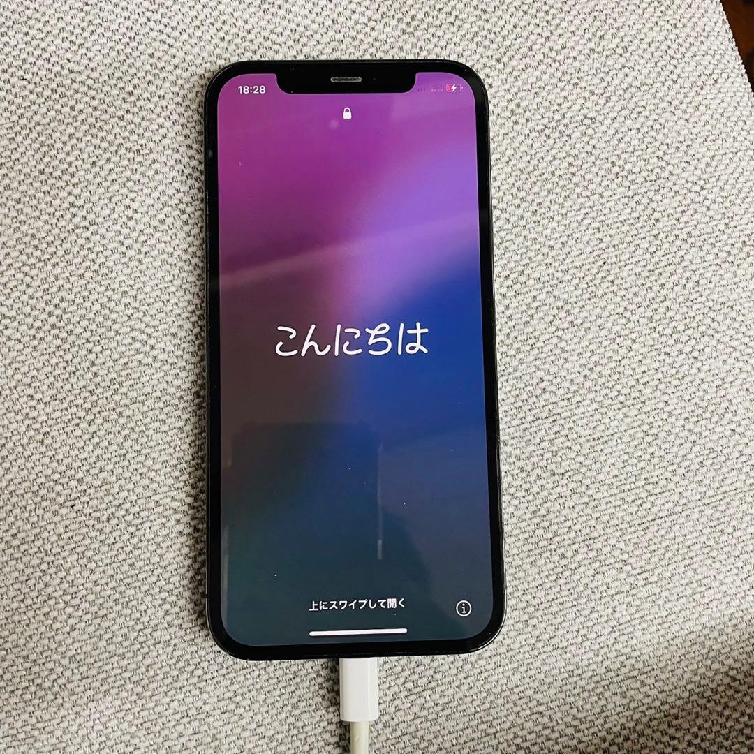 Apple iPhone 12 Pro グラファイト 本体 256GB