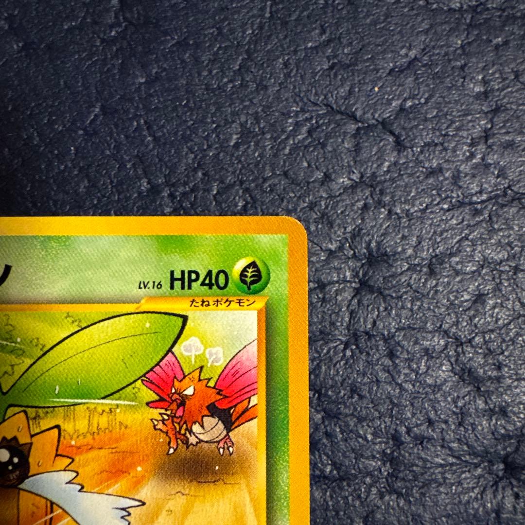 ヒマナッツ_「ポケモンカードになったワケ 4巻」 おまけカード PROMO 第…