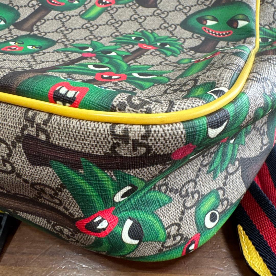難あり　GUCCI kids サボテンバッグ