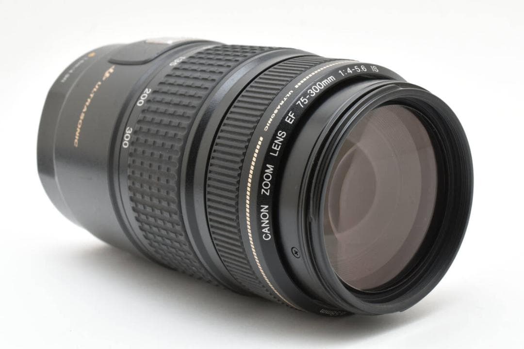 Canon　EF 75-300mm F4-5.6 IS USM #1291