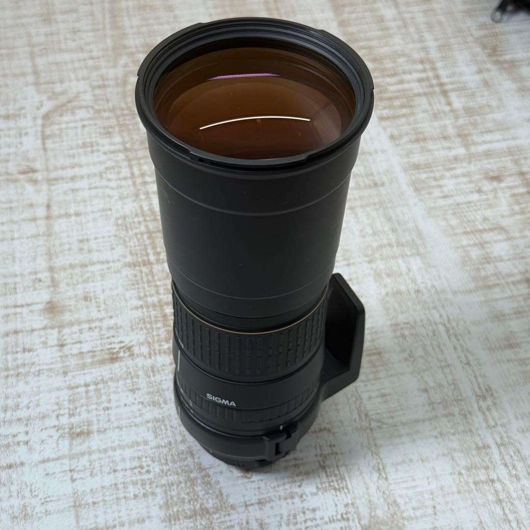 ニコン用【170-500mm】超望遠ズームレンズ⭐️Nikon⭐️SIGMAシグマ