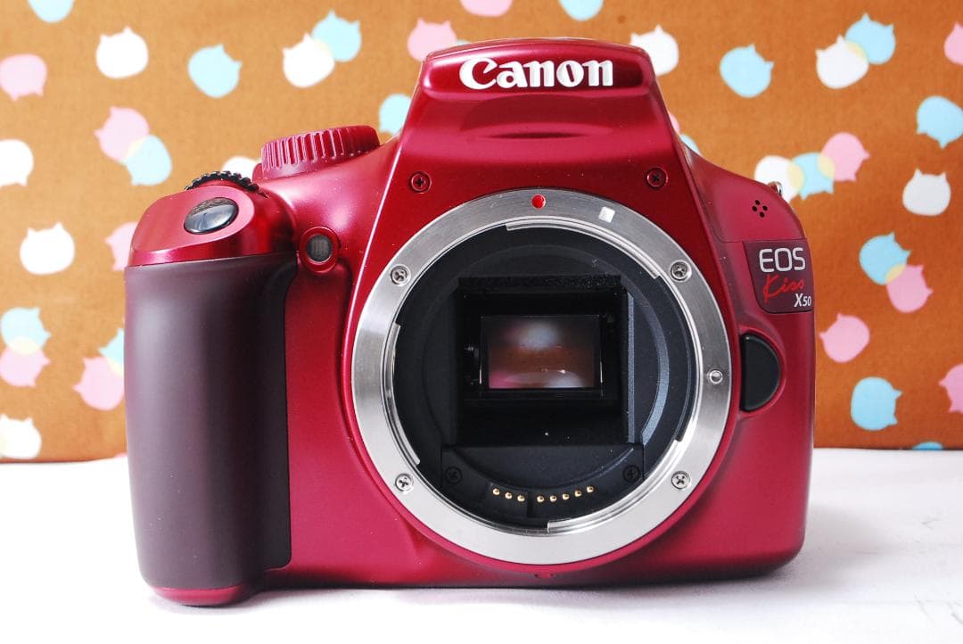 ✨新品同様✨元箱あり豪華セット✨Canon Kiss X50 レンズセット