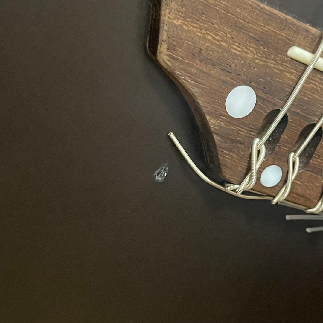 Glass Roots G-AC-50N グラスルーツ エレアコ エレガット