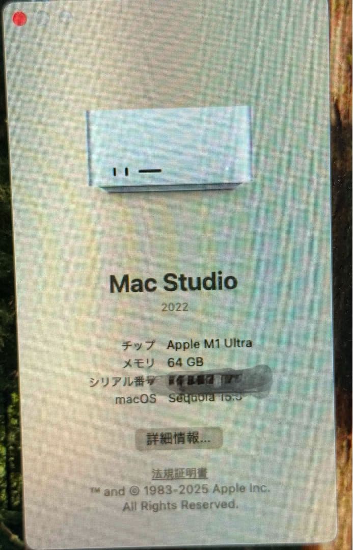 Macデスクトップ Apple Mac Studio M1 Ultra 64GB 1TB