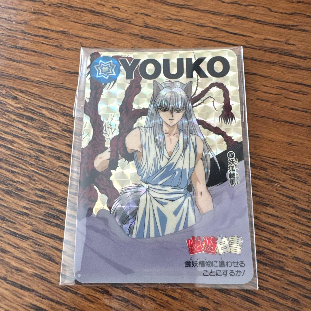 幽遊白書カード10枚セット