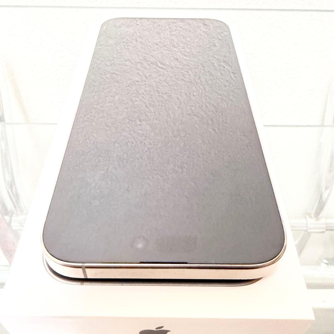 iPhone 16 Pro Max 256 GB SIMフリー 美品