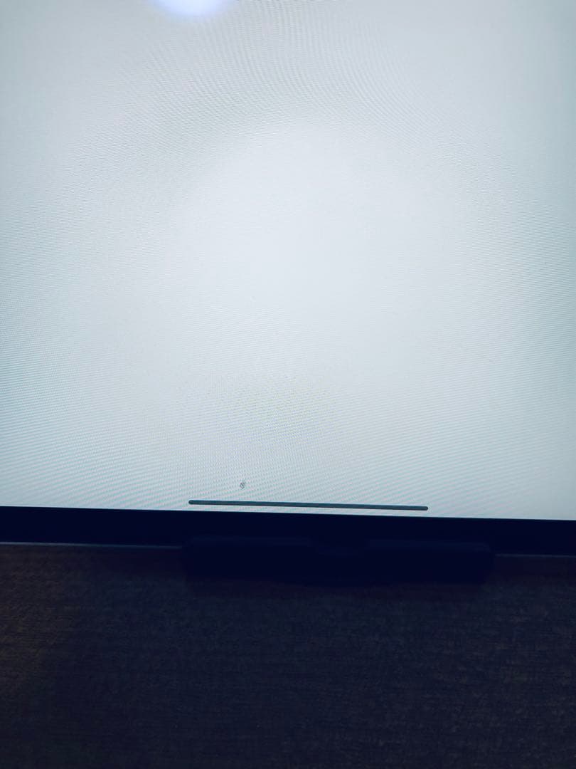 iPad Pro 11インチ (第3世代) 256GB セルラーモデル