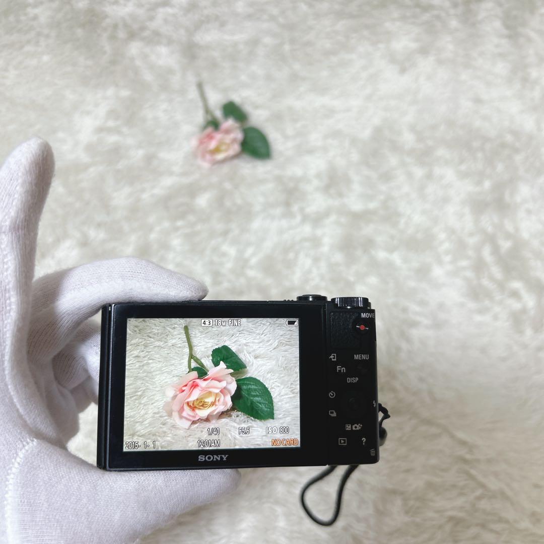 【極美品】　SONY サイバーショット DSC-WX500 Wi-Fi ブラック