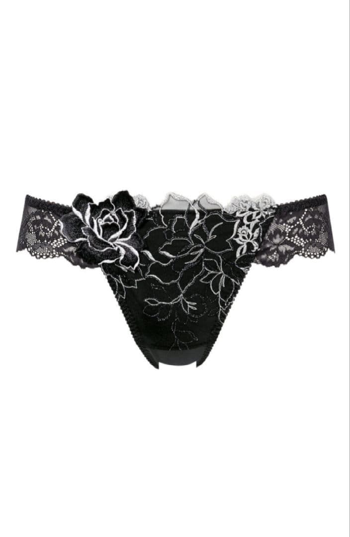 ワコール　サルート　17G　ブラ　Tバック