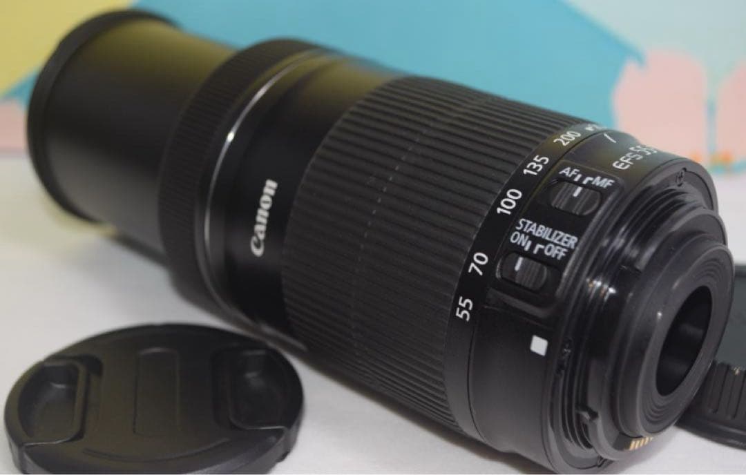 ❤️超静音レンズ❤️Canon EF-S 55-250mm IS STM