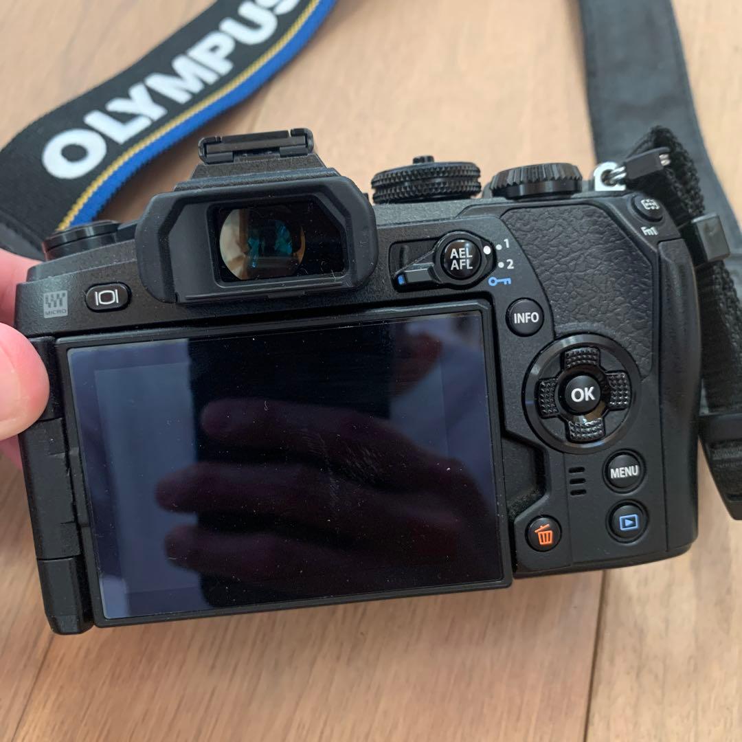 【シャッター数 205】OLYMPUS OM-D E-M1 Mark II