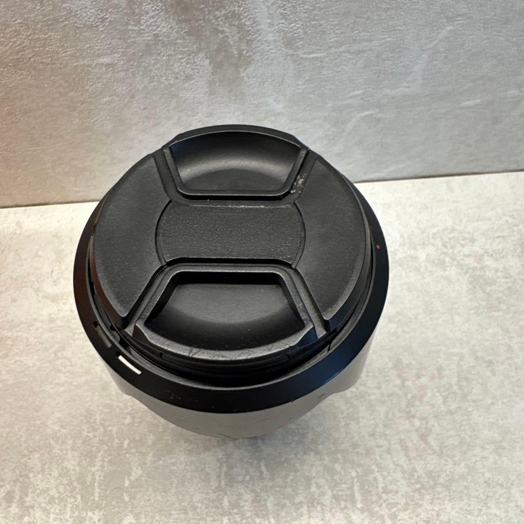 SELP18105G + フィルター付き