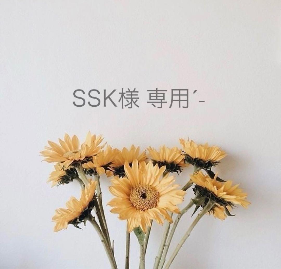 SSKˊ˗﻿