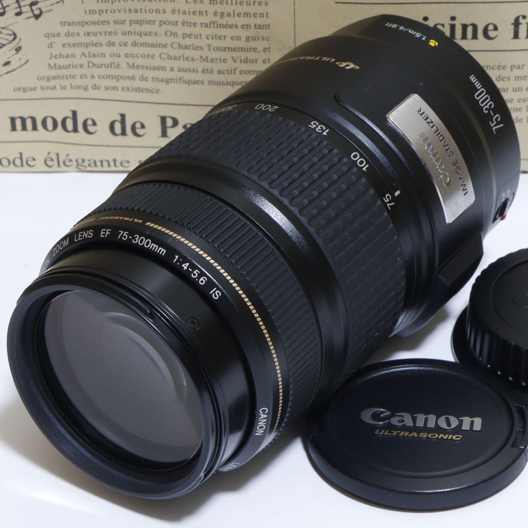 ◇超望遠&高速AF&手ブレ◇ Canon純正 75-300mm IS◇