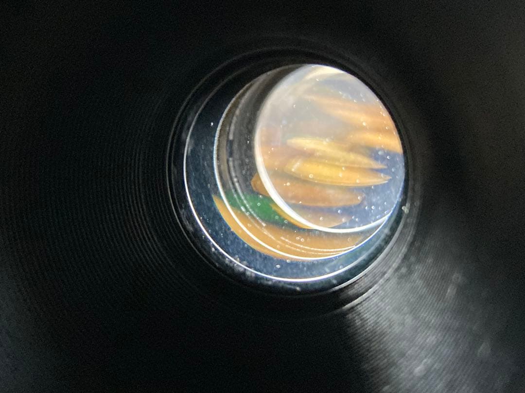 作例付き　ELICAR V-HQ MACRO 55mm F2.8 管mpr