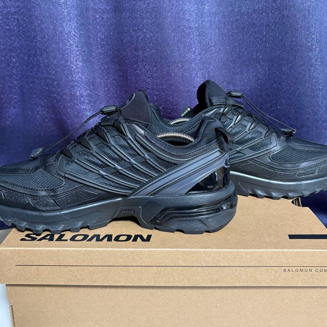 SALOMON サロモン ACS PRO GTX 28cm ゴアテックス