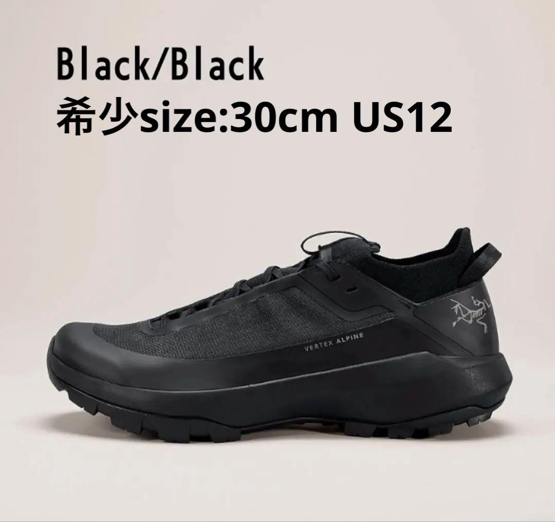 【ARC'TERYX】VERTEX ALPINE SHOE MEN'S US12