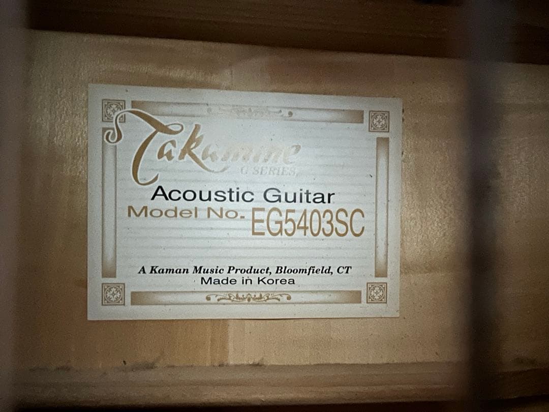 Takamine G Series エレアコ