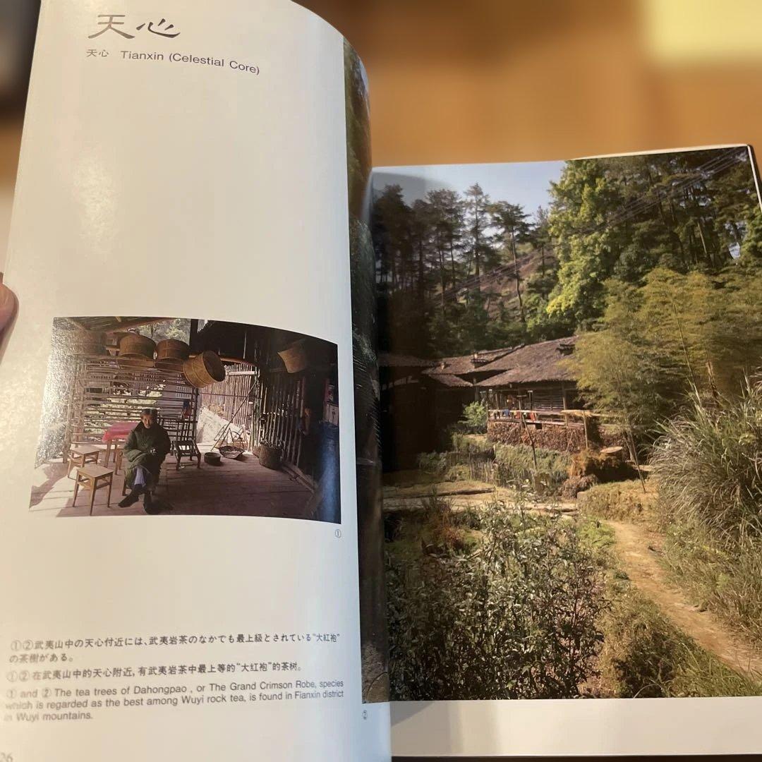 TTsan専用 福建烏龍茶 南川