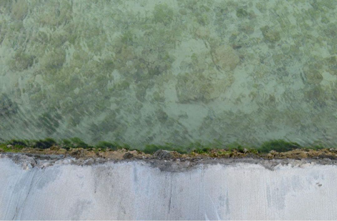 Nikon デジタル一眼レフカメラ 本体【値下げ中】