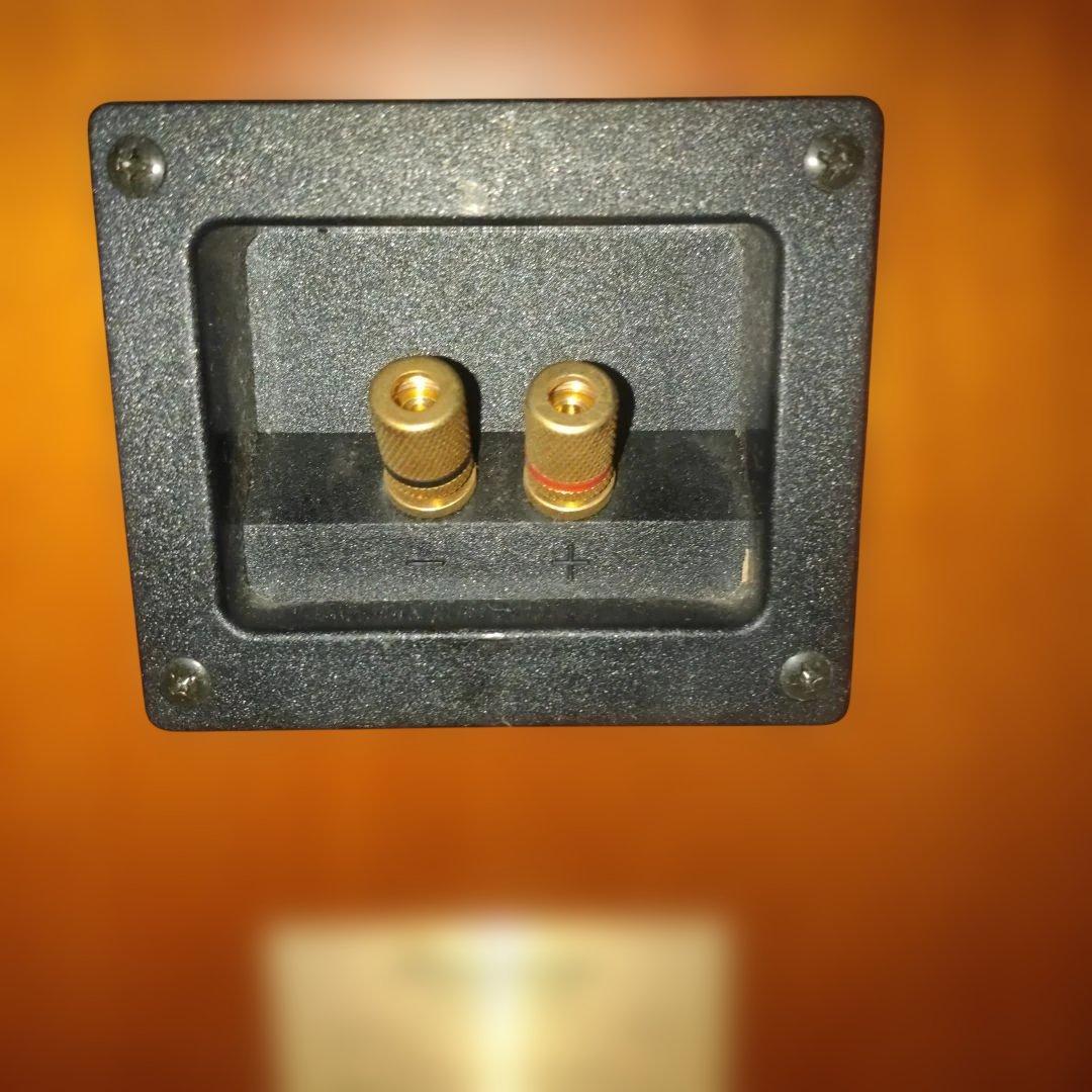 Pioneer S-A3-LR スピーカー