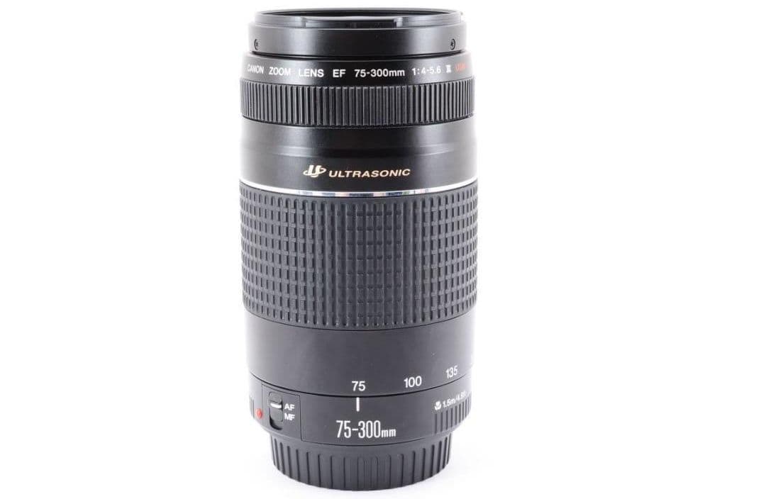 1月19日限定【超望遠レンズ】Canon EF 75-300mm Ⅲ USM