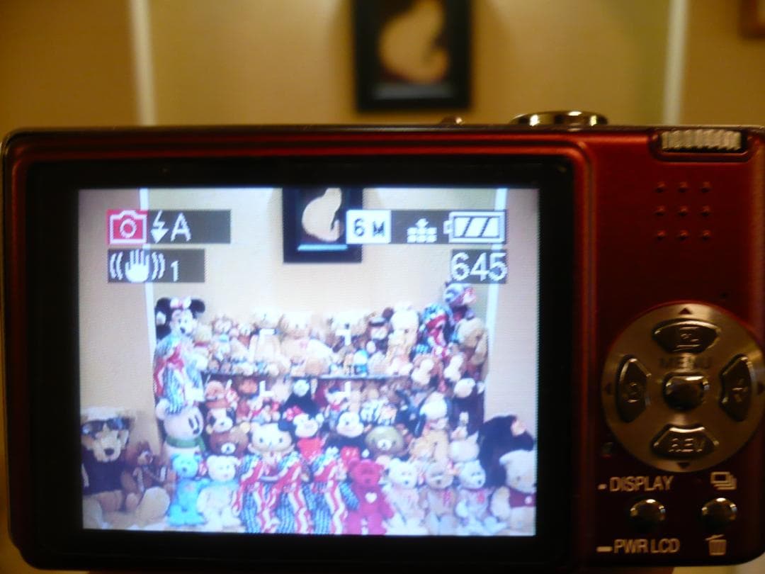 LUMIX★DMC-FX9⭐️極美品⭕️安心の実働品★レッド