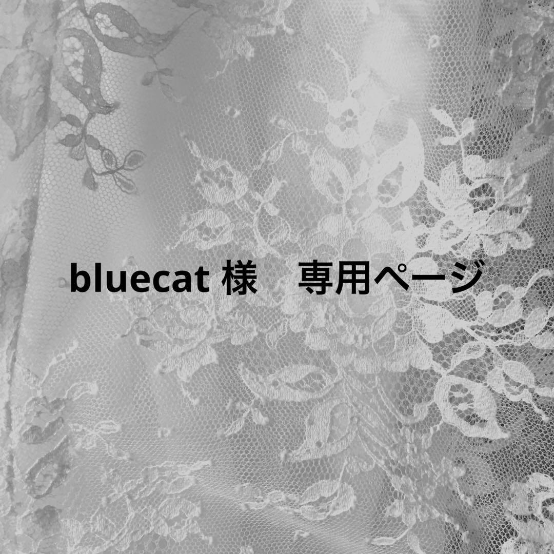 bluecatページ　クリップ