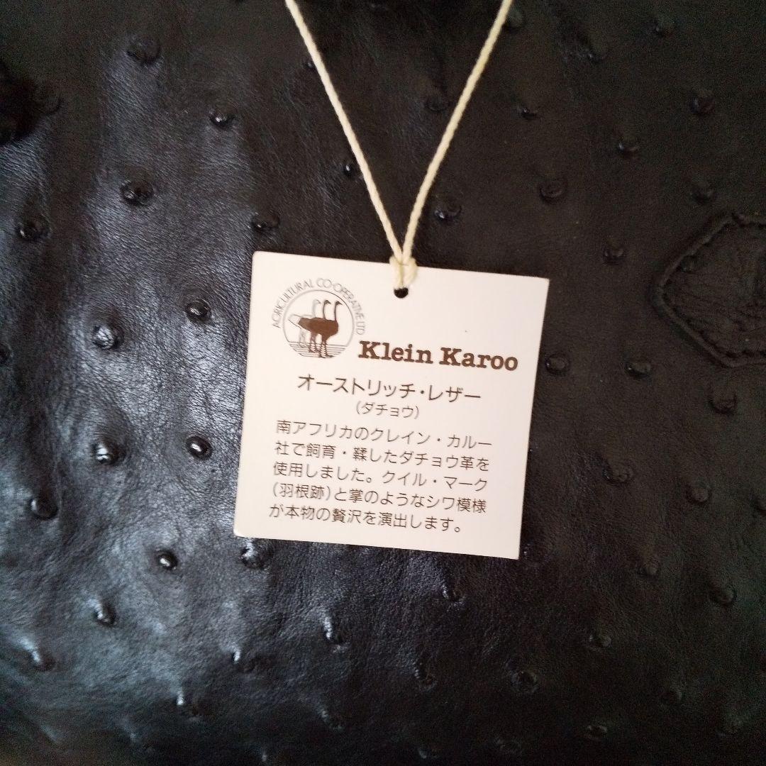 ☆大幅値下げ☆新品☆イビザ ボストンバッグ オーストリッチ ハンドバッグ