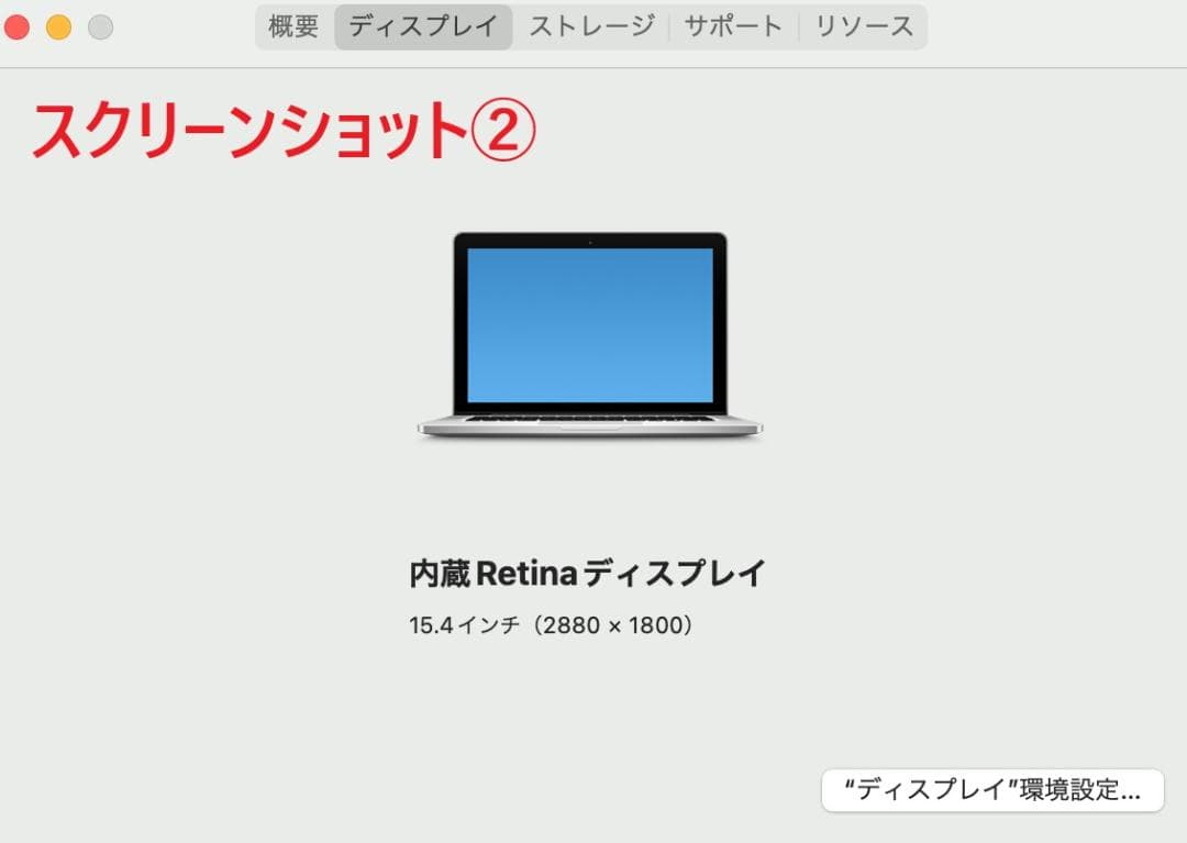 MacBook Pro (15-inch, Mid 2015) 【わけあり品】
