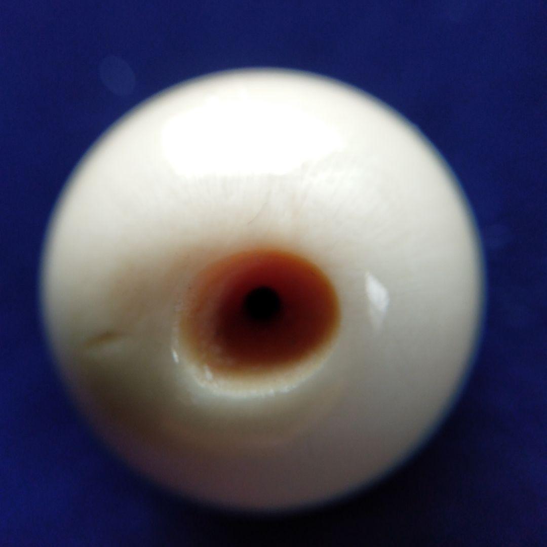 鯨歯　マッコウクジラ　牙玉　ルース　約22.5㎜　片穴約7㎜