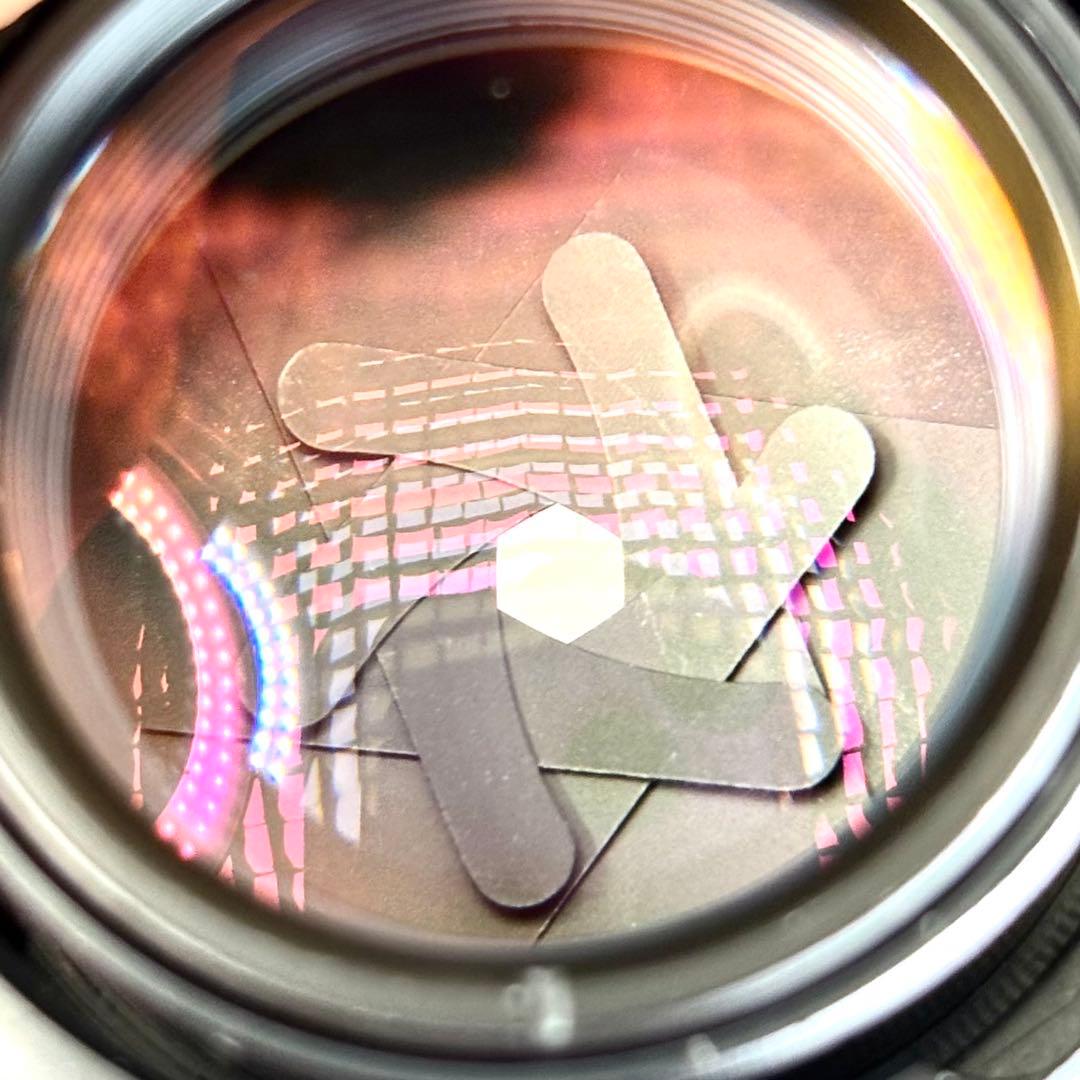 Helios-44M-6 58mm f2 ぐるぐるボケ【ナマケモノ】